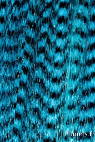 Extensions synthétiques - 40 cm, clip 3 coul. - turquoise